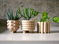 three ceramic pots with plants in them on a table