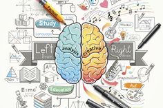 two halves of the same human brain surrounded by writing instruments and other items on a white background