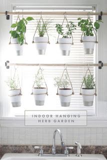 a window sill filled with potted plants on top of a kitchen sink next to a window