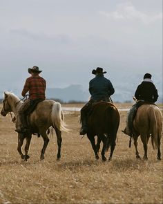 three people riding horses in a field with mountains in the background