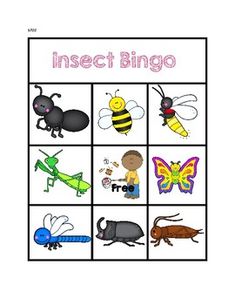 an insect bingo game with pictures of bugs and other insects