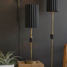 two black lamps are next to a plant