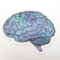 a sticker with a drawing of a human brain on it's back side