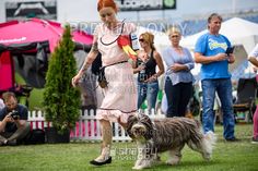 a woman in pink dress walking a dog at an outdoor event with people looking on