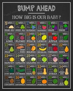 a poster with the words bump ahead and how big is our baby?