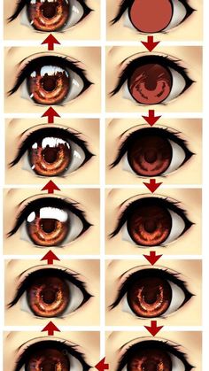 the different types of eyes and how they are used to make them look like they're