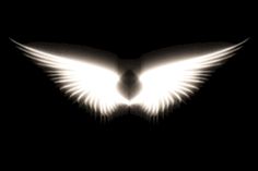 an image of a white bird in the dark with its wings spread out and glowing