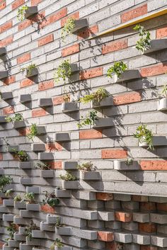 a brick wall with plants growing on it