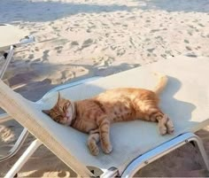 an orange cat laying on top of a beach chair