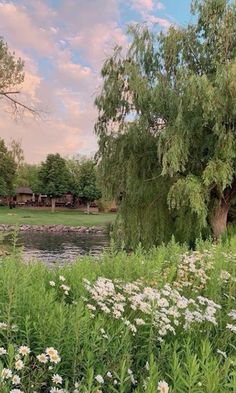 a pond surrounded by trees and flowers