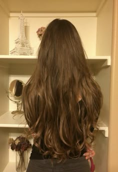 Hips Length Hair, Silky Layered Hair, Long Wavy Light Brown Hair Aesthetic, Long Chestnut Hair, Lower Back Hair Length, Healthy Long Brown Hair, Long Beautiful Brown Hair, Long Brunette Hair Aesthetic, Long Hair Goals Aesthetic