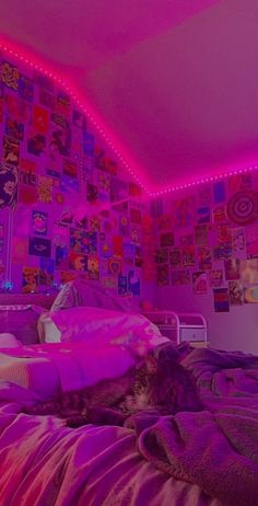 a cat laying on top of a bed in a room with pink lights and posters