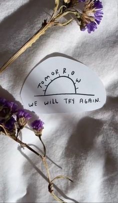 two dried flowers sitting next to each other on a white sheet with writing that reads, we will try again