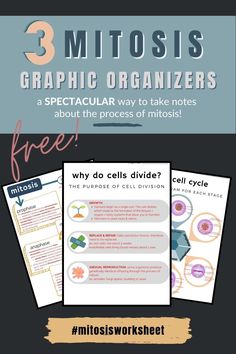 three different types of posters with the text 3 mitosis graphic organizers about the process of mitots