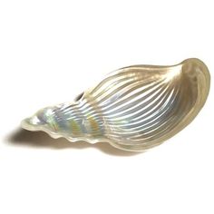 a shell shaped object on a white background