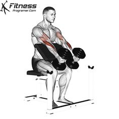 a man sitting on top of a bench with dumbbells