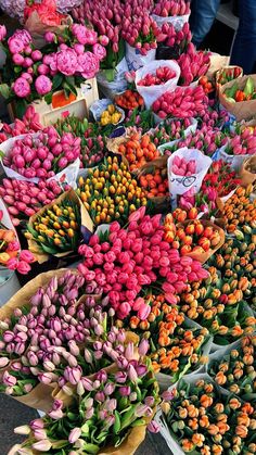 many different types of flowers on display for sale