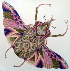 a drawing of a colorful insect on a white background