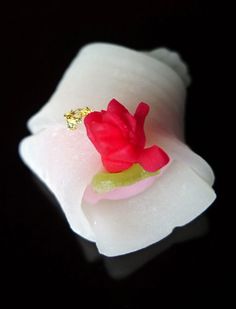 a close up of a flower on a black background