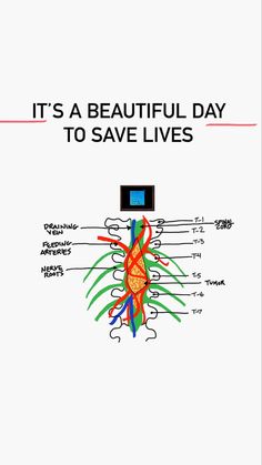 an illustrated diagram of the human body and its functions in it's structure, including the circumula