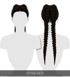 the back view of a woman's head with long braids