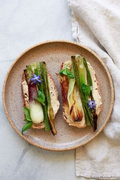 two sandwiches with asparagus, cucumbers and herbs on a brown plate