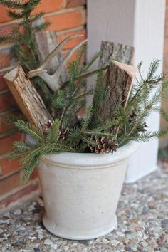 a potted plant with pine cones and branches in it