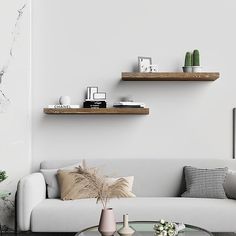 a living room with two shelves above the couch and coffee table in front of it