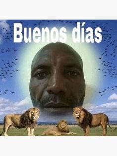 a man with two lions in front of him and the words bluenos dias on it