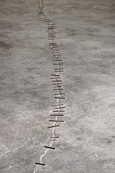 an image of a long line of writing on the ground with lines drawn in it