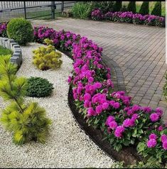 a flower garden with purple flowers and green plants in the center, surrounded by gravel