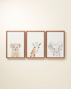 three framed animal pictures hang on the wall