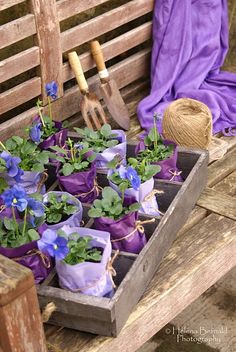 a wooden crate filled with potted plants next to a purple towel and gardening utensils