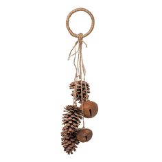 three pine cones hanging from a rope