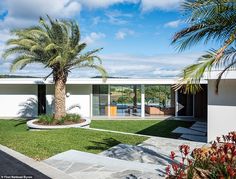 a palm tree in front of a modern house