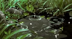 an artistic painting of water and plants in the woods with raindrops on them