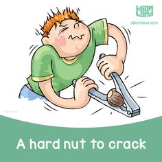 Idiom of the day: Hard nut to crack. Meaning: A problem that is hard to solve or… Nut Jokes, These Nuts Jokes, Memory Words, Confusing Words, Slang Words