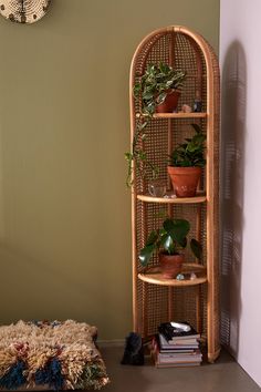 a corner shelf with plants on it next to a wall mounted clock and rugs