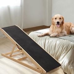 a golden retriever laying on top of a bed with a ramp attached to it