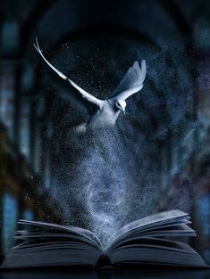 an open book with white bird flying out of it's pages in the air