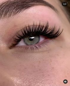 Pretty Lashes, Natural Eyelash Extensions, Eyelash Extentions