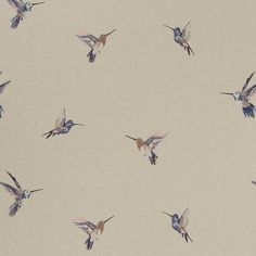 a flock of hummingbirds flying through the air with their wings spread out in formation