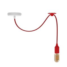 a red cord connected to a light bulb on a white background, with an object in the foreground