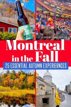 montreall in the fall 25 essential autumn experiences