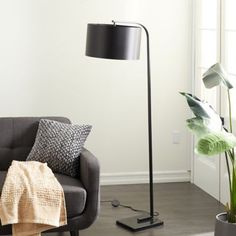 a living room with a couch, lamp and potted plant on the floor next to it