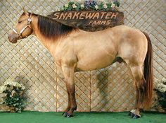 a brown horse standing in front of a wooden sign with flowers on it's head