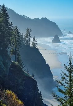 the coast line with trees on both sides and fog in the air