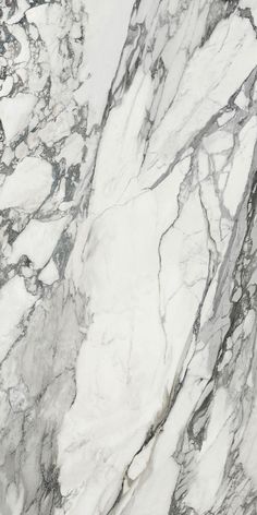 white and grey marble textured with black veiners