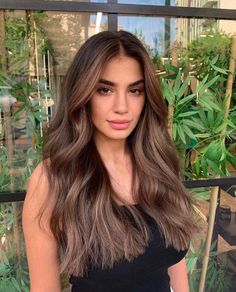 Soft Healthy Hair, Brown Hair Inspiration, Highlights For Dark Brown Hair, Honey Brown Hair, Brunette Hair With Highlights, Hair Color Light Brown, Hair Color Auburn