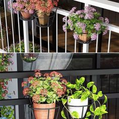 three different types of potted plants on a balcony